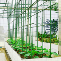 Tuteur de jardin durable pour plantes grimpantes, support de fleurs, piquet de tomate, canne, poteau en acier plastifié pour plantes