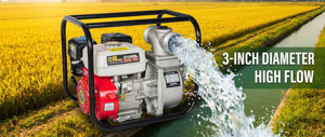 Motopompe à Essence Économique WP30, Machine de <span class=keywords><strong>Pompe</strong></span> à Eau Agricole, Code SH - Product Image 2