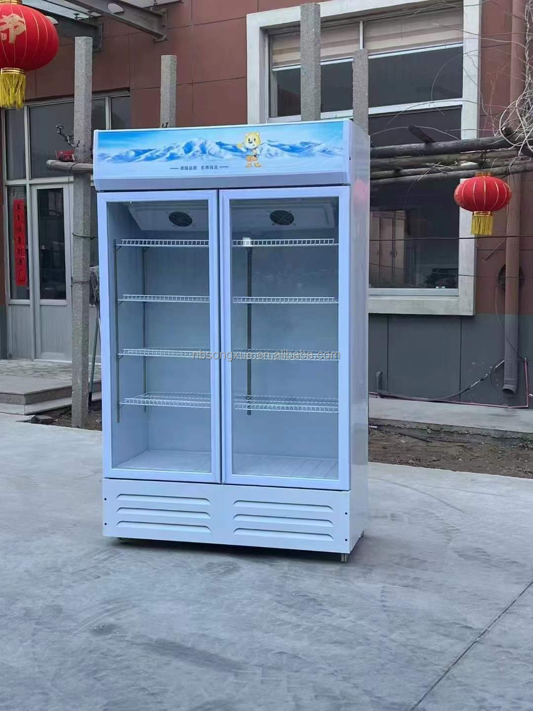 Commercial-Two-Glass-Door-
