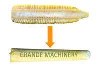 Décortiqueuse de maïs frais à petite échelle pour le traitement des grains
