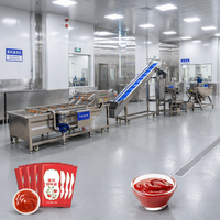 Petite ligne de production de ketchup, machine de cuisson de sauce tomate, machine automatique de remplissage et d'emballage de sachets pour usine alimentaire