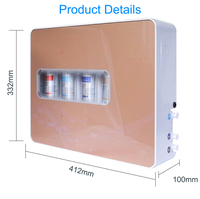 Filtre à eau alcaline 4 étapes pour la maison, purificateur d'eau UF, membrane d'ultrafiltration alcaline UF, filtre purificateur d'eau pour la maison