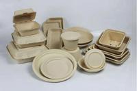 Machine de fabrication de plaques en bagasse, petite unité pour barquettes alimentaires et emballages à clapet