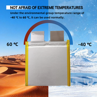 Cellule lithium-ion 3,2V 5Ah à décharge rapide 45C, 7000 cycles, -40°C ℃ ~60 ℃   Batterie LFP Lifepo4 3.2v 5000mAh en forme de pochette pour drone UAV