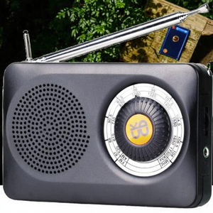 Özelleştirilebilir W-201 radyo/çift bant güçlü sinyal. Klasik radyolar için yeni bir seçim - Product Image 6