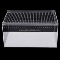 Boîte en acrylique Cage pour reptiles pour animaux de compagnie Boîte d'élevage en acrylique pour lézard