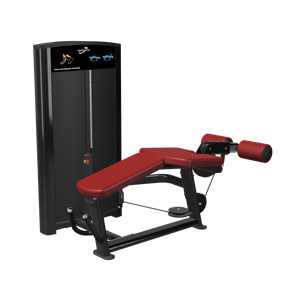 L'action d'extension des jambes agit sur les muscles du biceps femoris, du semi-tendineux et du semi-membranéens. - Product Image 4