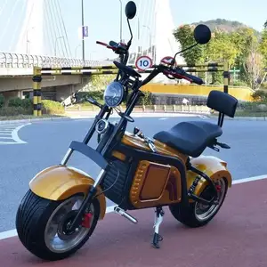 Armazém da china 2023 melhor preço para adultos cidade elétrica citycoco scooter