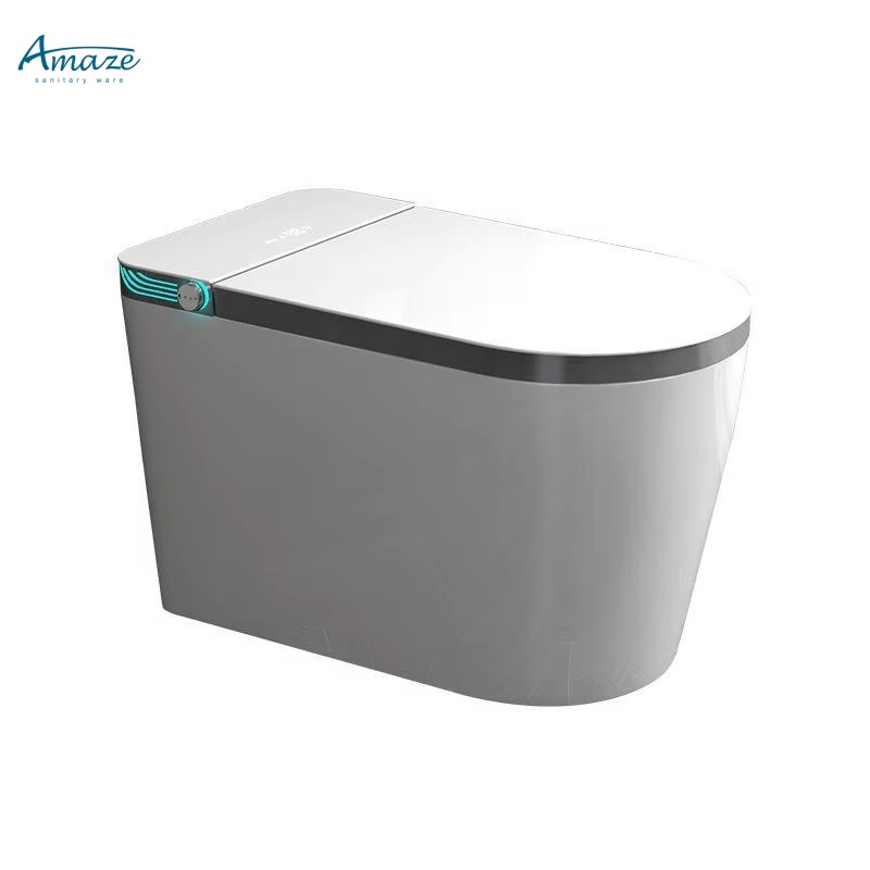 Modern Smart Intelligent Toilet Bowl Automatic