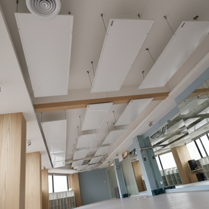 Panneau Chauffant Infrarouge de Plafond 660W 860W, Plaque Chauffante en Cristal de Carbone pour Yoga Chaud, Chauffage de Grandes Maisons, Protection Contre la Surchauffe - Product Image 2