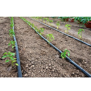 Bande d'irrigation <span class=keywords><strong>goutte</strong></span> <span class=keywords><strong>à</strong></span> <span class=keywords><strong>goutte</strong></span> du fabricant Bande d'irrigation <span class=keywords><strong>goutte</strong></span> <span class=keywords><strong>à</strong></span> <span class=keywords><strong>goutte</strong></span> 16mm Irrigation agricole Bande d'irrigation <span class=keywords><strong>goutte</strong></span> <span class=keywords><strong>à</strong></span> <span class=keywords><strong>goutte</strong></span> <span class=keywords><strong>1000m</strong></span> - Product Image 1