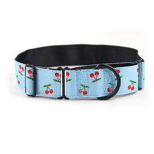 Collar de entrenamiento para mascotas acolchado ajustable personalizado al por mayor del fabricante Collar de perro Martingale adecuado para perros medianos y grandes - Product Image 4