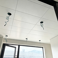 Plafond acoustique perforé en aluminium 600x600 mm, ignifuge et isolant thermique, pour usage commercial, résidentiel et hospitalier, en métal artistique