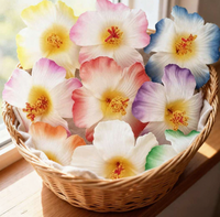 Accessoires de coiffure de plusieurs couleurs de fleur ornementale d'hibiscus