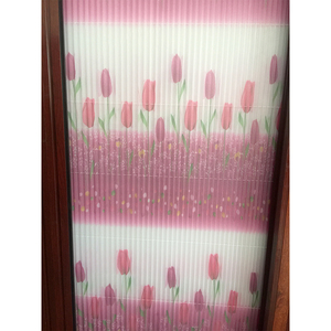 Modern tasarım sabit ayrılabilir pileli Plisse örgü sürgülü ekran alüminyum cibinlik kapı paslanmaz çelik Polyester pencereler - Product Image 2