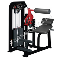 XINRUI Fabricant d'équipement de fitness professionnel Équipement de fitness commercial Machine d'extension du dos pour la salle de sport