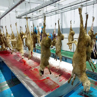 Ligne d'abattage de chèvres d'abattoir de moutons halal complète équipement de boucherie d'abattoir de religion islamique