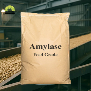 Phức hợp <span class=keywords><strong>Enzyme</strong></span> protease-amylase | amylase <span class=keywords><strong>lipase</strong></span> protease để bổ sung tiêu hóa - Product Image 1