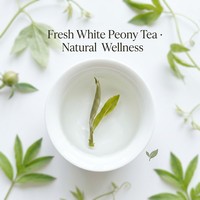 Thé blanc de pivoine de Fuding en vrac, récolte fraîche, sain, antioxydant, bien-être, immunité, thé blanc chinois traditionnel en vrac