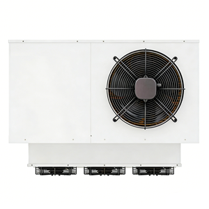 Unidad Condensadora Monobloque de Montaje Superior para Cámaras Frigoríficas, Bomba Scroll, Ahorro de Energía, Refrigerante R290, 3.40KW, Control Remoto - Product Image 6