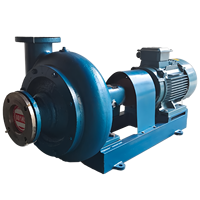 Pompe à eaux usées personnalisable en fonte, pompe chimique électrique horizontale, pompe centrifuge horizontale pour eaux usées