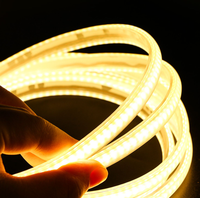 Bandes COB en PVC AC110V AC220V 288D 360D haute densité 100 M/rouleau 3000K 4000K 6000K découpable IP67 extérieur COB Led bandes lumineuses