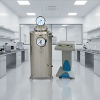 Autoclave à vapeur à pression de ciment de laboratoire STYZF-2