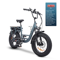 Bicicleta Eléctrica con Llantas Anchas, 500W, 48V, 20Ah, 120km de Autonomía, Suspensión Delantera, 7 Velocidades, Venta al Por Mayor de Fábrica, Duradera