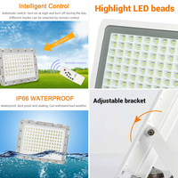 Hairolux 2026 Penjualan Terlaris IP65 60W 100W 150W Lampu Sorot LED Tenaga Surya dengan Sensor dan Remote Control