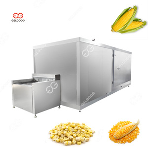 Équipement de congélation automatique personnalisé pour légumes surgelés : machine à congeler les petits pois, le maïs sucré et les carottes bébé - Product Image 2