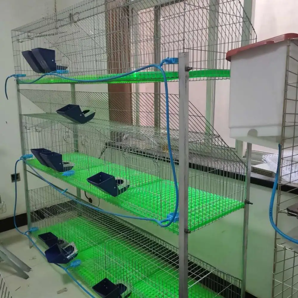 Long lifetime! Factory price breeding rabbit cages with free spare parts/ rabbit cages commercial breeding
