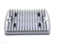Pièces en alliage d'aluminium moulées sous pression personnalisées, revêtement en poudre, fonderie de métaux à moule permanent, OEM ODM, usage industriel