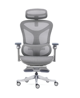 Chaise ergonomique pour la maison avec repose-pieds, soutien lombaire confortable et réglable, accoudoirs en aluminium
