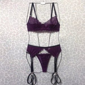 New Fashionable and Sexy Women's Lingerie Set With Lace Embroidery <b>Perspective</b> Sling Bra Set Four Piece Set - Product Image 6