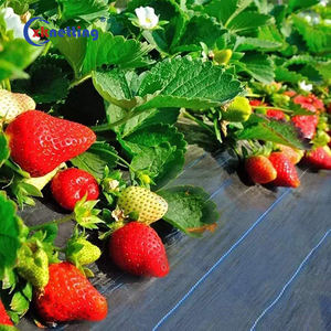 Tissé Tissu Polypropylène Barrière Contre Les Mauvaises Herbes Prévention Contrôle Agent Paysage Tissu Jardin Résistant Aux UV Couverture De <span class=keywords><strong>Sol</strong></span> - Product Image 3