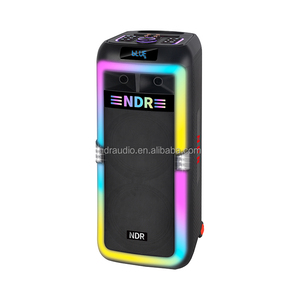 NDR-1710 Enceinte karaoké Bluetooth TWS à double caisson de basses de 8 pouces, 2 voies, avec lumière LED clignotante, sans fil, nouvelle arrivée, batterie professionnelle, haut-parleur KTV - Product Image 1