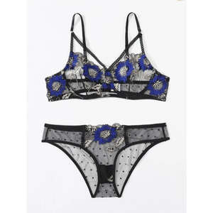 Logotipo personalizado, conjuntos de sujetador de poliéster Spandex, ropa de chica joven, ropa interior de mujer alemana para mujer, vídeo Sexy - Product Image 4