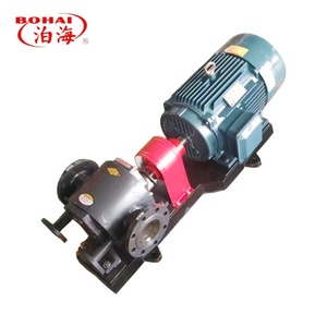 Pompe à engrenages à bain thermique série WQCB pour l'industrie lourde, sur mesure OEM, à faible débit de sortie - Product Image 4