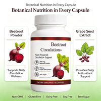 Capsules Beetroot Circulation+ avec extrait de pépins de raisin, 1000 mg de poudre de betterave, sans sucre, 60 capsules, complément alimentaire