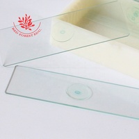 Dicotyledonous Plant Stem Cross Cut Sunflower Stem Cross Cut Slide Fresh Clear and Easy to See Biological Microscope Slide