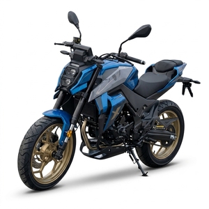 NEWBOT <span class=keywords><strong>Moto</strong></span> <span class=keywords><strong>de</strong></span> <span class=keywords><strong>course</strong></span> puissante 300cc pour adultes, 18,5 kW, haute performance, 125 km/h, FE-300 Factory - Product Image 3