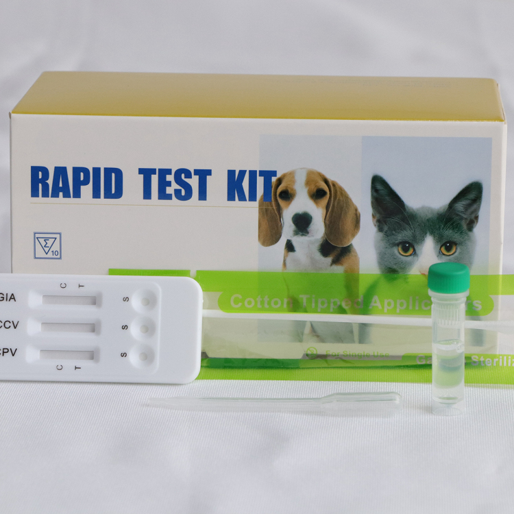 Prueba rápida de combinación de CPV Ag + CCV Ag + Giardia Ag profesional