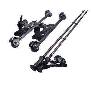 Sport en plein air Rouleau Skate Verre Classique Ski Roues Boot Fibre De Carbone Roller Ski - Product Image 1