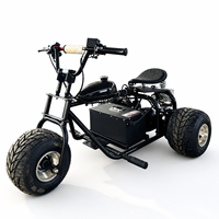 Kart Eléctrico de Tres Ruedas Directo de Fábrica, Batería de Litio de Larga Duración, Neumáticos Anchos, Kart Eléctrico Recreativo Todoterreno