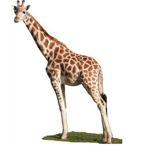 Meilleurs articles de vente de Jardin Décoratif En Métal Bronze statue de Girafe - Product Image 3
