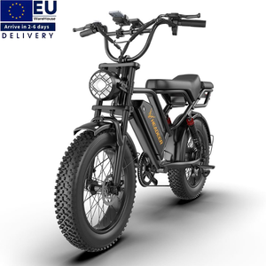 Bicicleta Eléctrica EU HEADEER BK20 con Asiento Trasero, Fatbike 750W 48V20Ah, Bicicleta de Montaña Eléctrica Vintage, Bicicleta Eléctrica Todoterreno - Product Image 1