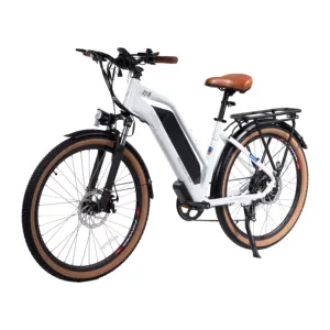 48 v750w bicicletta elettrica bicicletta urbana per adulti in stock bicicletta da città urbana per pendolarismo