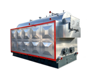 Chaudière à vapeur au biomasse DZH de 1 tonne avec fonctionnement simple et entretien pratique, chaudière à vapeur au biomasse