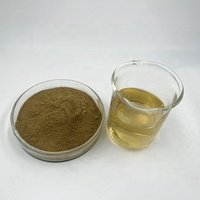 Poudre d'extrait de feuille de Moringa Extrait de Moringa oleifera Poudre de feuille de Moringa pour produit de soins de santé