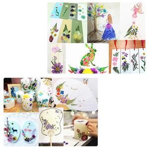 Hot Sale Children's <strong>Flower</strong> <strong>Press</strong> Natural Crafts Wooden Art <strong>Kits</strong> Outdoor Learning Toys <strong>Flower</strong> <strong>Press</strong> Set - Product Image 4